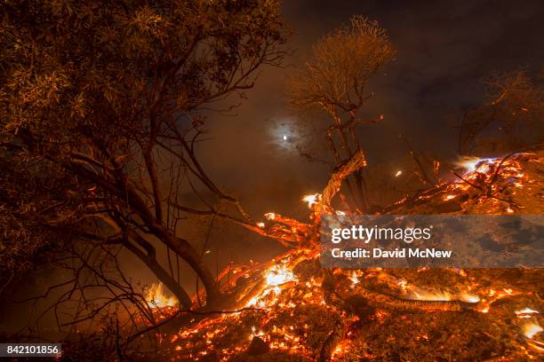 Flames spread on a moonlit night at the La Tuna Fire on September 2, 2017 near Burbank, California. Los Angeles Mayor Eric Garcetti said at a news...