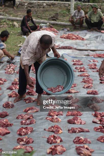 Muslim peoples slaughter sacrificial animals during Idul Adha celebrations or known as sacrificial festivals on September 03, 2017 in Aceh,...