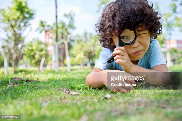 kleiner junge mit lupe im park - child magnifying glass stock-fotos und bilder