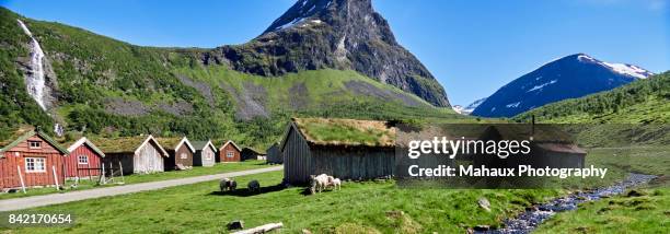 the herdal mountain summer farm in the high plateau above geiranger - farm norway stock pictures, royalty-free photos & images