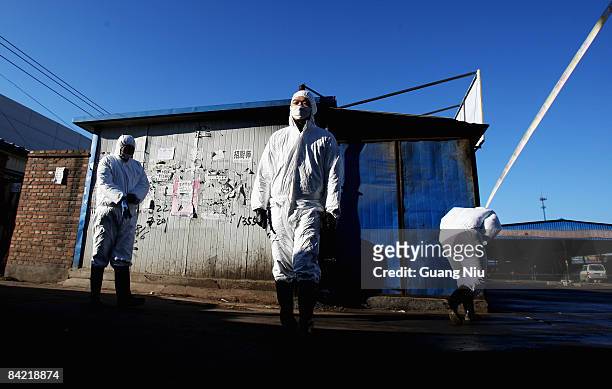 Chinese policemen close a poultry market on January 9, 2009 in Yanjiao, north China's Hebei province, China. Beijing authorities have banned all live...