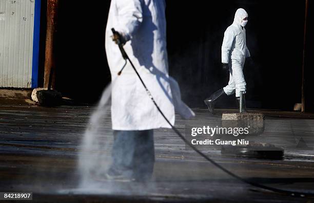 Chinese medicial workers clean and disinfect the isolated plot of a poultry market after its closure on January 9, 2009 in Yanjiao, north China's...