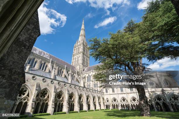 salisbury cathedral - salisbury cathedral stock pictures, royalty-free photos & images