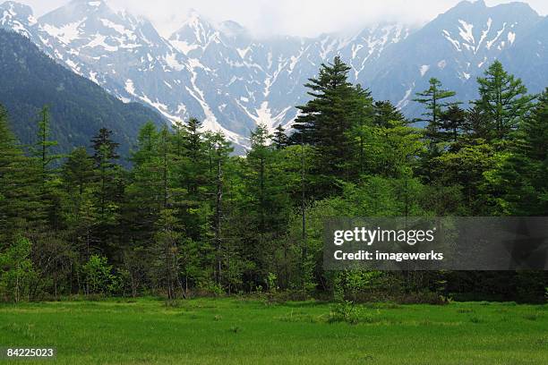 japan, kamikochi, nagano, kamikochi national park with hodaka mountains in backgrounds - kamikochi national park stock pictures, royalty-free photos & images