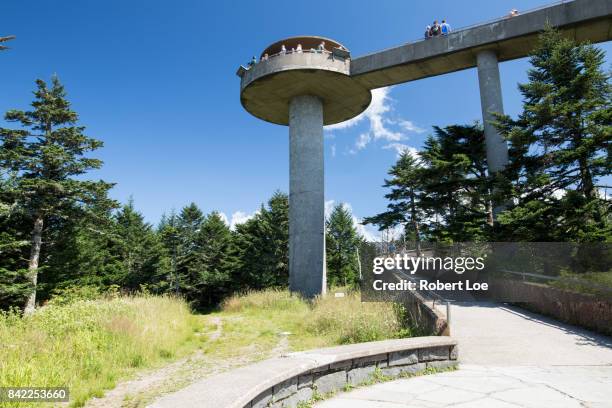 clingman's dome tower - bryson city north carolina stock pictures, royalty-free photos & images