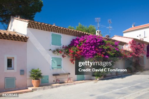 Typical village houses, Porquerolles, France Typical village houses, Porquerolles, France