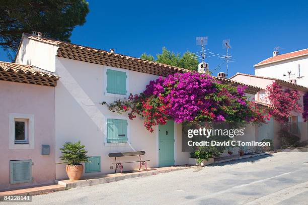 typical village houses, porquerolles, france - mediterranean culture stock pictures, royalty-free photos & images