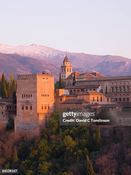 view to the alhambra at sunset, granada, spain - alhambra fotografías e imágenes de stock