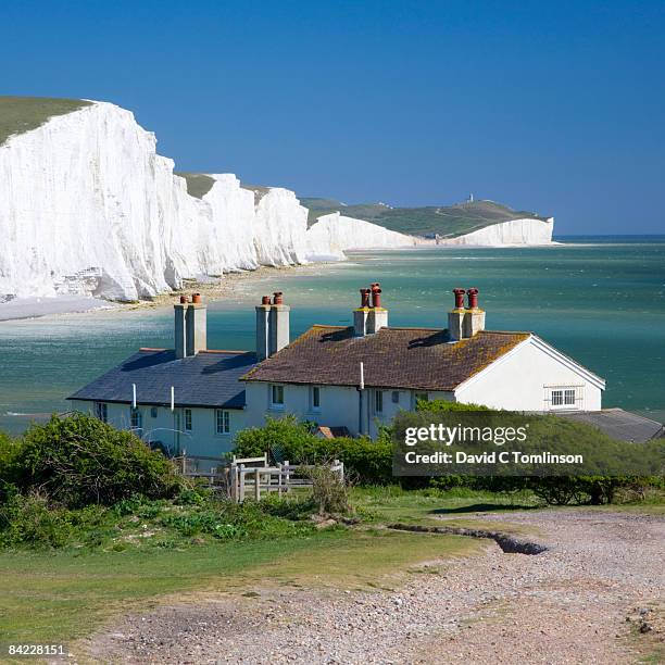 view to the seven sisters, cuckmere haven, england - gesso roccia foto e immagini stock