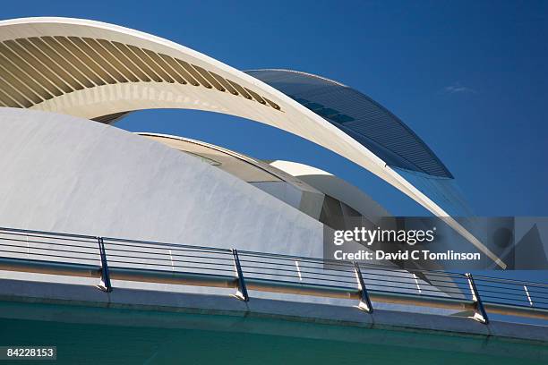 the palau de les arts reina sofia, valencia, spain - ciutat de les arts i les ciències bildbanksfoton och bilder