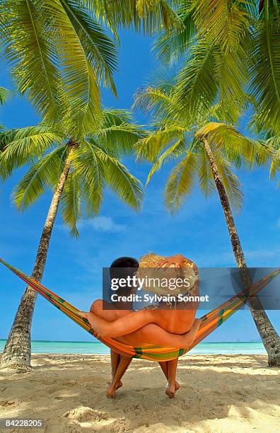 couple sitting on hammock, martinique, carib - waaierpalm stockfoto's en -beelden