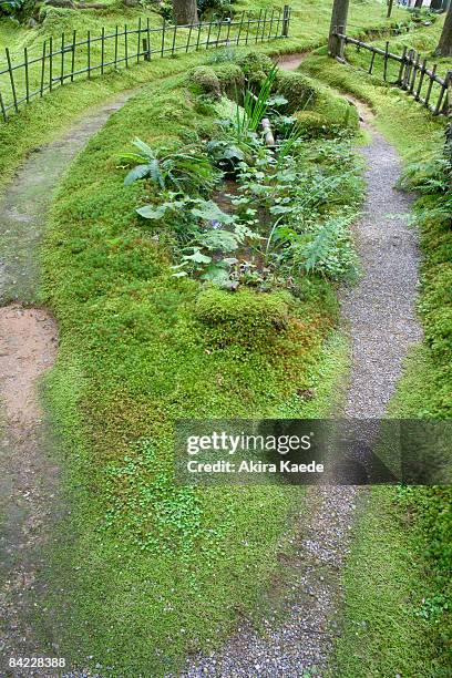 moss garden - akira lane ストックフォトと画像