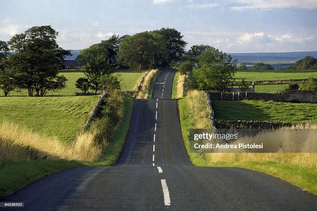 Road in English coutryside