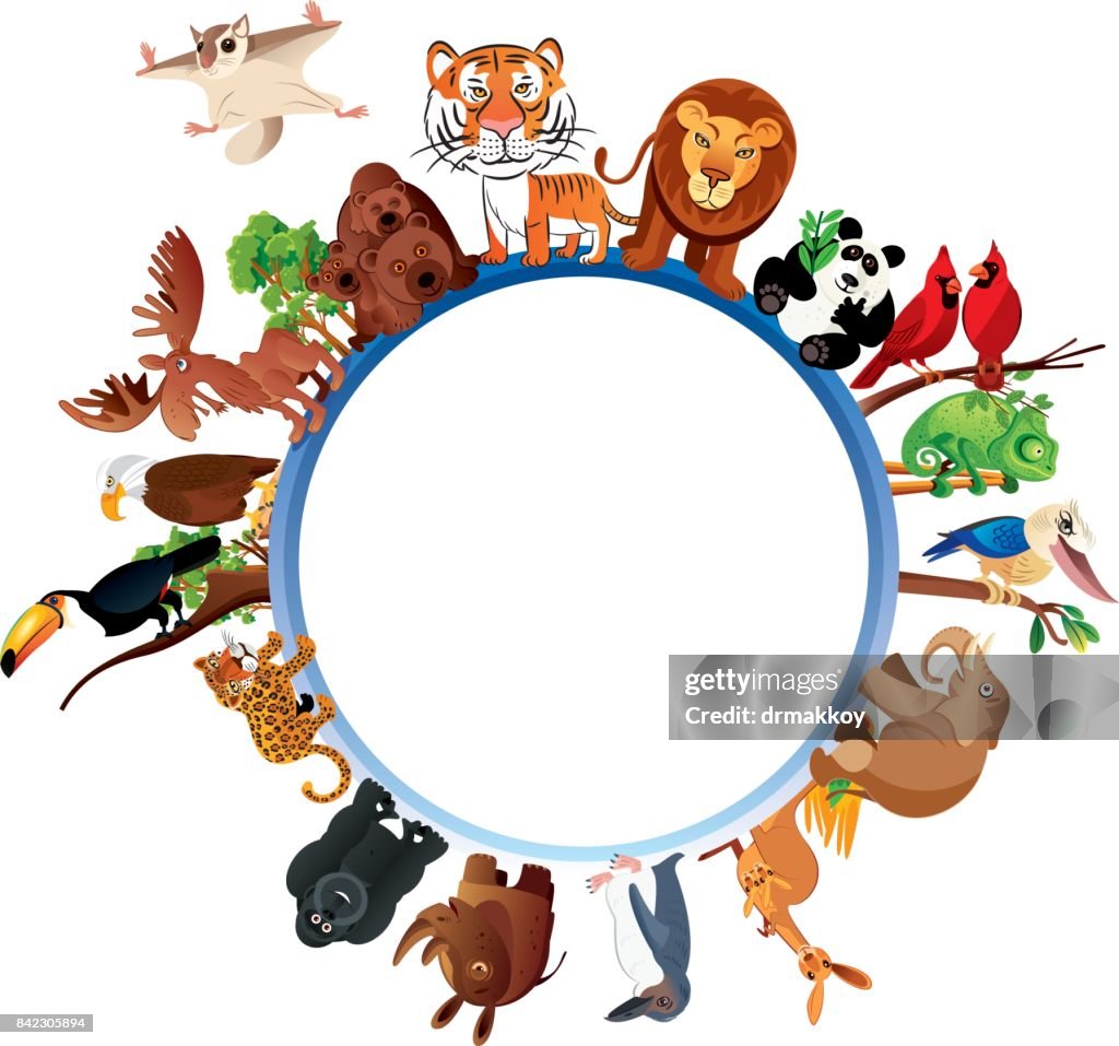 ANIMALS PLANET