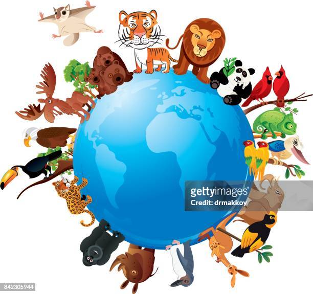 animals planet - animal wildlife stock illustrations