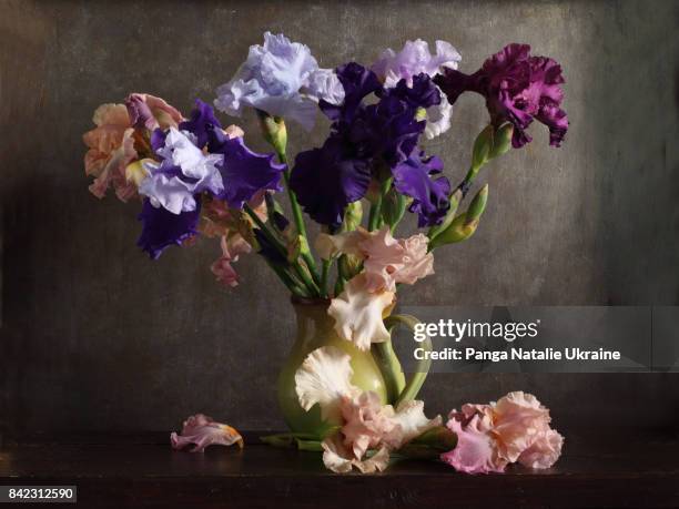 gorgeous irises - the purple iris stock pictures, royalty-free photos & images