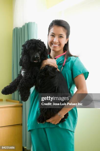 eurasian veterinarian holding dog - eurasian female stock pictures, royalty-free photos & images