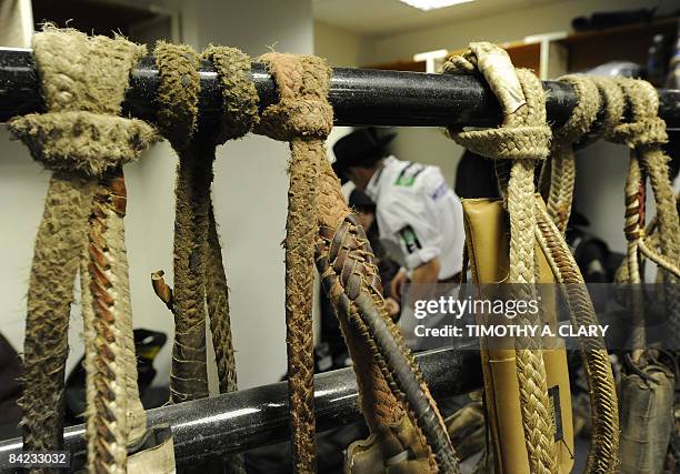 Bull Riding Rope Hanging 326 Bull Riders Night Stock Photos, High-Res Pictures, and Images ...
