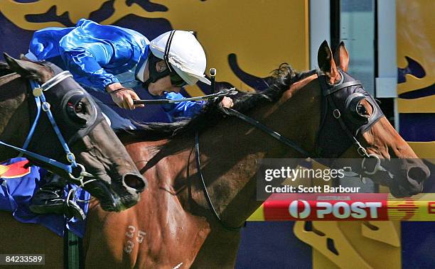 Schawmen, ridden by Brenton Avdulla wins race 7 the Robert Taranto Handicap ahead of Itstheone during the Rubiton Stakes Day meeting at Caulfield...