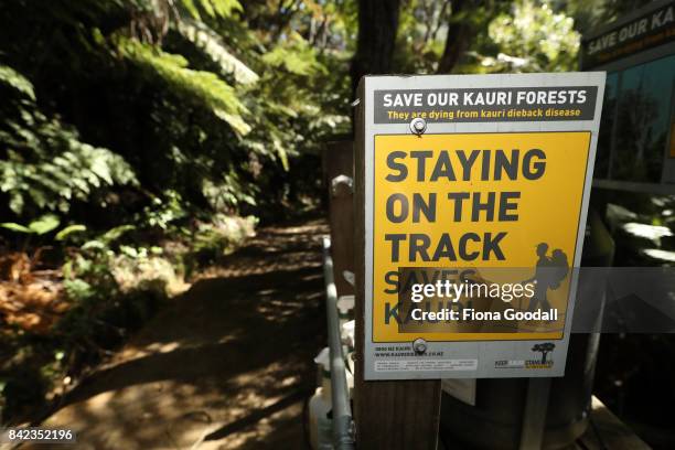 Cleaning station on the Karamatura Track at Huia in the Waitakere Ranges Regional Park on September 4, 2017 in Auckland, New Zealand. The Waitakere...