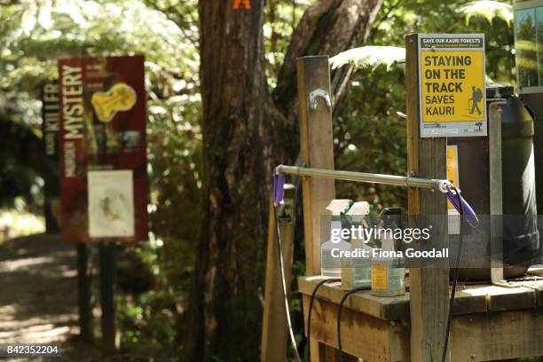 Cleaning station on the Karamatura Track at Huia in the Waitakere Ranges Regional Park on September 4, 2017 in Auckland, New Zealand. The Waitakere...