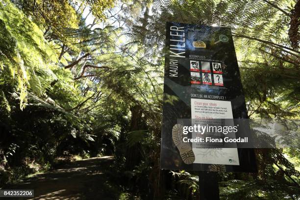 Cleaning station on the Karamatura Track at Huia in the Waitakere Ranges Regional Park on September 4, 2017 in Auckland, New Zealand. The Waitakere...