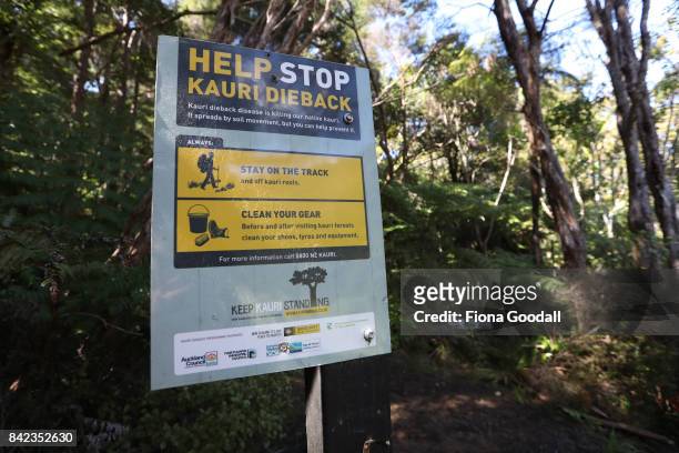 Cleaning station near the lower Huia reservoir in the Waitakere Ranges Regional Park on September 4, 2017 in Auckland, New Zealand. The Waitakere...