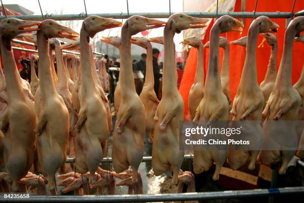 Rows of Peking ducks hang as people do Spring Festival shopping during the seventh Xian Spring Festival Commodities Fair at Xian International...