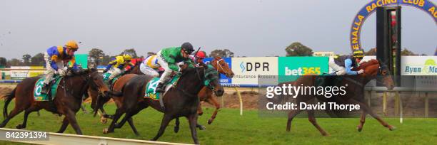 Sigrid Carr Racing 88 Sigrid Carr Stock Photos, High-Res Pictures, and Images - Getty Images