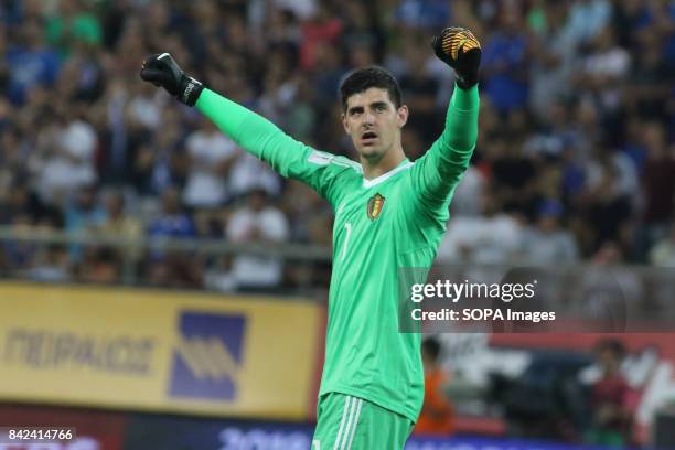 Belgium's goalkeeper Thibaut Courtois celebrates at the end of the World Cup Group H qualifying soccer match between Greece and Belgium at Georgios...