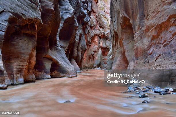 water stream in the narrows, zion national park, utah, usa - zion narrows stock pictures, royalty-free photos & images