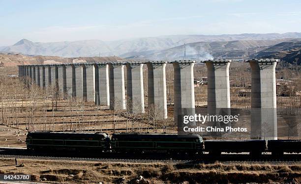 Cargo train runs through piers of a viaduct at the construction site of second phase of the Qinghai-Tibet railway from Xining to Golmud on January...