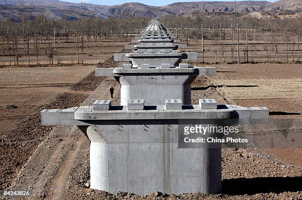 Farmer walks past piers of a viaduct at the construction site of second phase of the Qinghai-Tibet railway from Xining to Golmud on January 11, 2009...