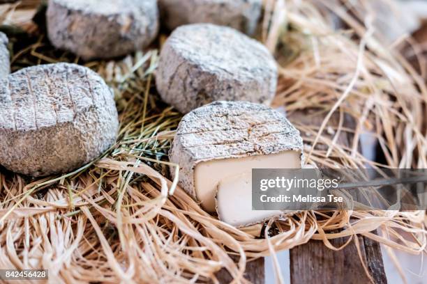 cutting into goat cheese - goat's cheese stock pictures, royalty-free photos & images