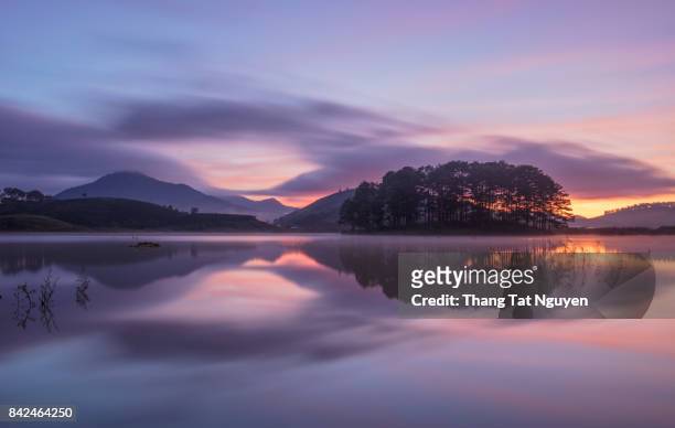 pine  tree island reflection in water at dawn - connemara stockfoto's en -beelden