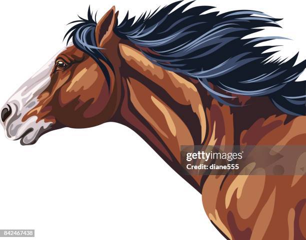 wild horse laufen - zugpferd stock-grafiken, -clipart, -cartoons und -symbole