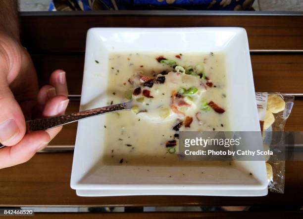 clam chowder - new england clam chowder imagens e fotografias de stock