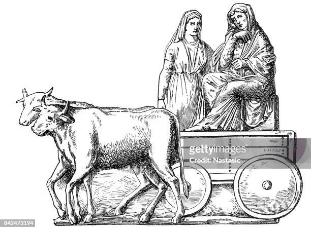 german priestess in a chariot drawn by ox - norse gods stock illustrations