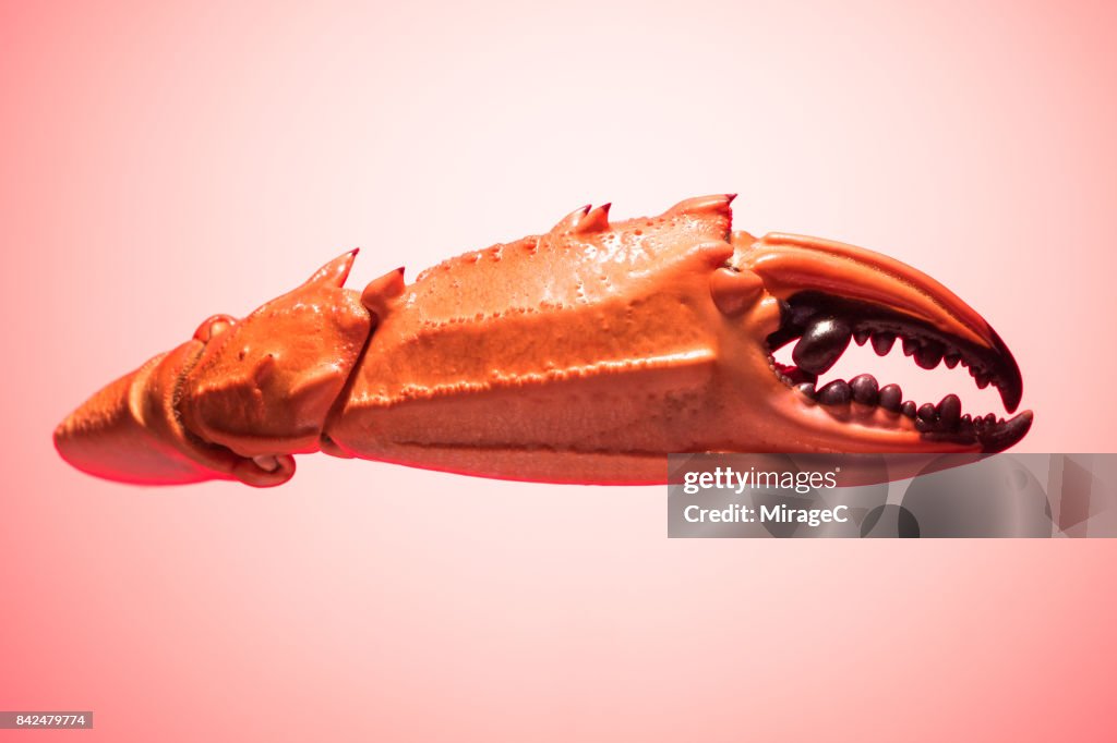 Boiled Crab Claw