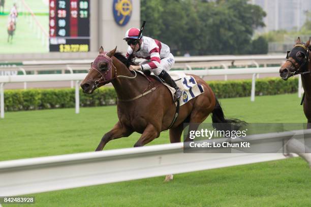 Jockey Tommy Berry riding Hair Trigger wins Race 7 Cotton Tree Handicap at Sha Tin racecourse on September 3, 2017 in Hong Kong, Hong Kong.