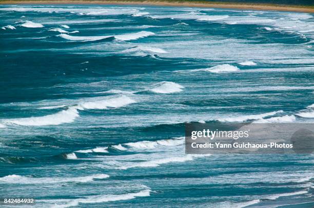 the wild coast at gerroa, new south wales, australia - kiama stock-fotos und bilder