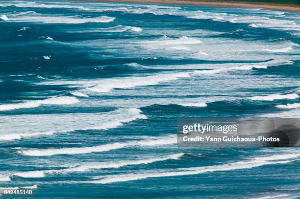 the wild coast at gerroa, new south wales, australia - kiama stock-fotos und bilder