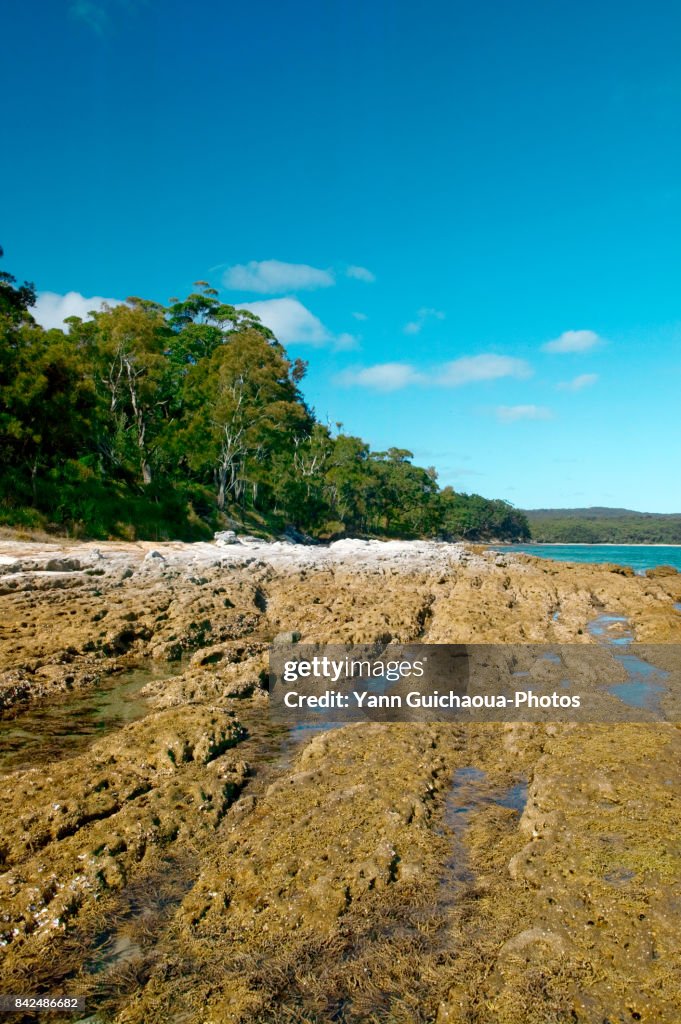 Murrays Beach Murrays Beach Booderee National Park Jervis Bay New South Wales ...