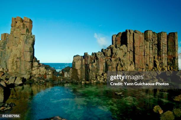 cathedral rocks at bombo, new south wales, australia - kiama stock-fotos und bilder