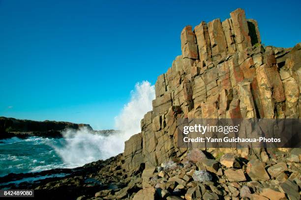 cathedral rocks at bombo, new south wales, australia - kiama bildbanksfoton och bilder