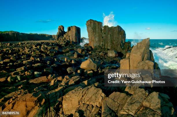 cathedral rocks at bombo, new south wales, australia - kiama bildbanksfoton och bilder