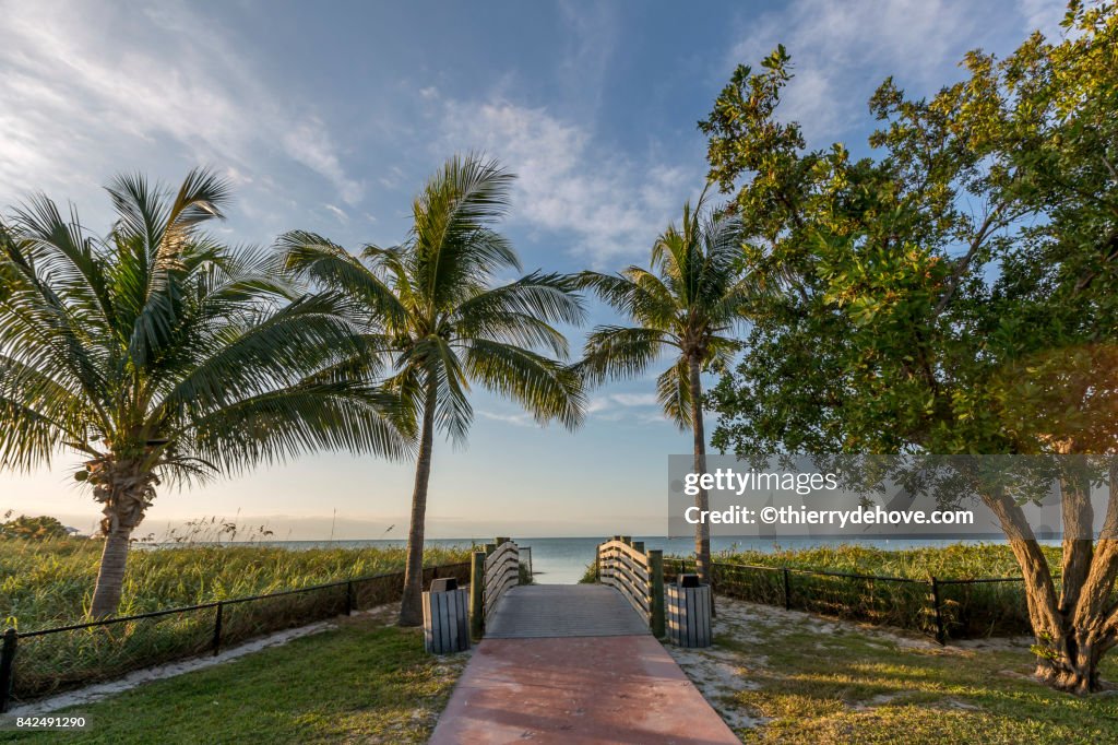 Scenery from the Keys, Florida