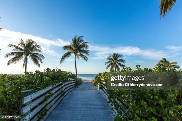 scenery from the keys, florida - marathon florida stockfoto's en -beelden