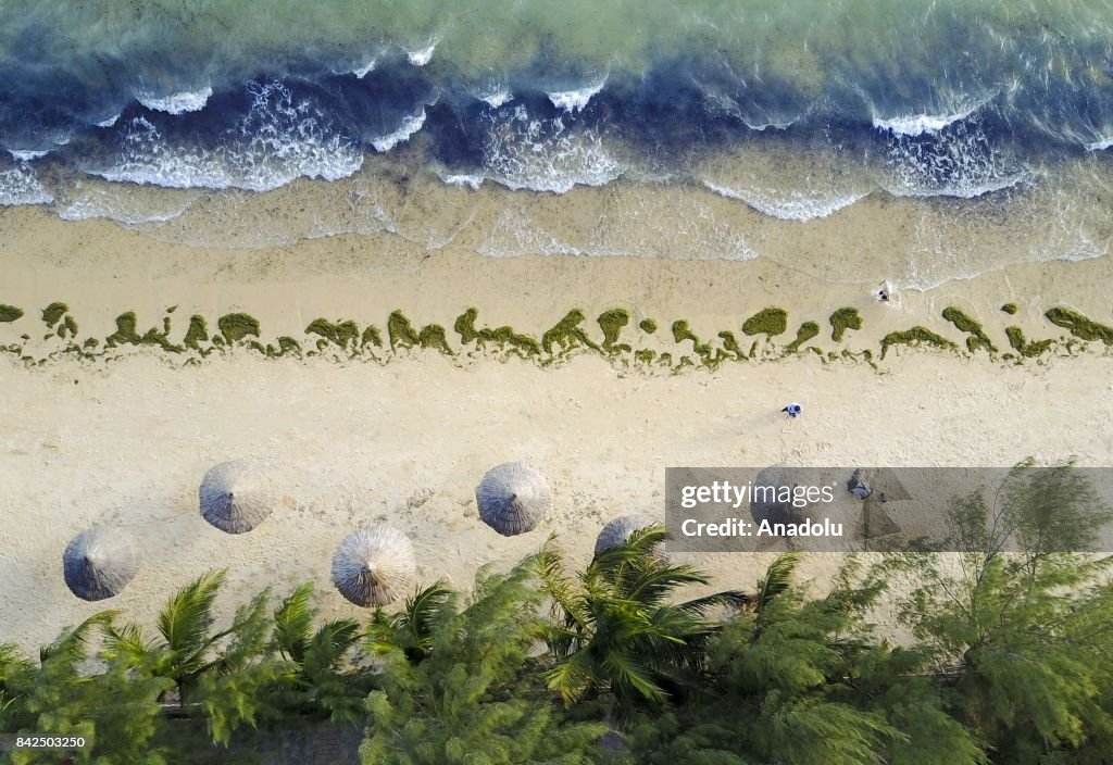 Ifaty Beach Madagascar