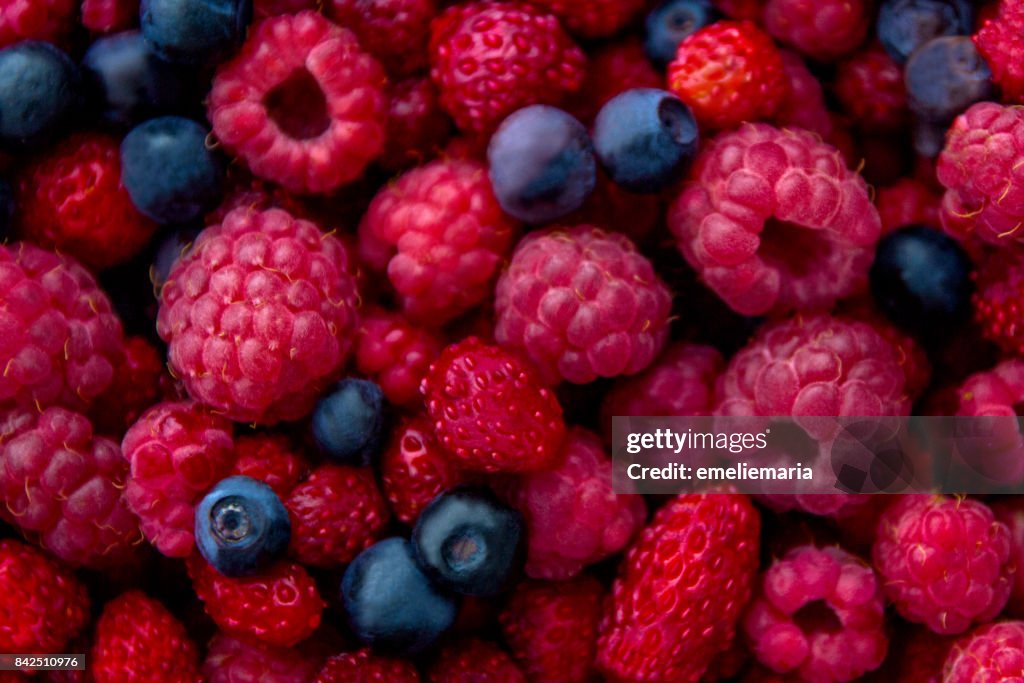 Closeup photo of fresh colorful mix of berries: blueberry, raspberry and wild strawberry